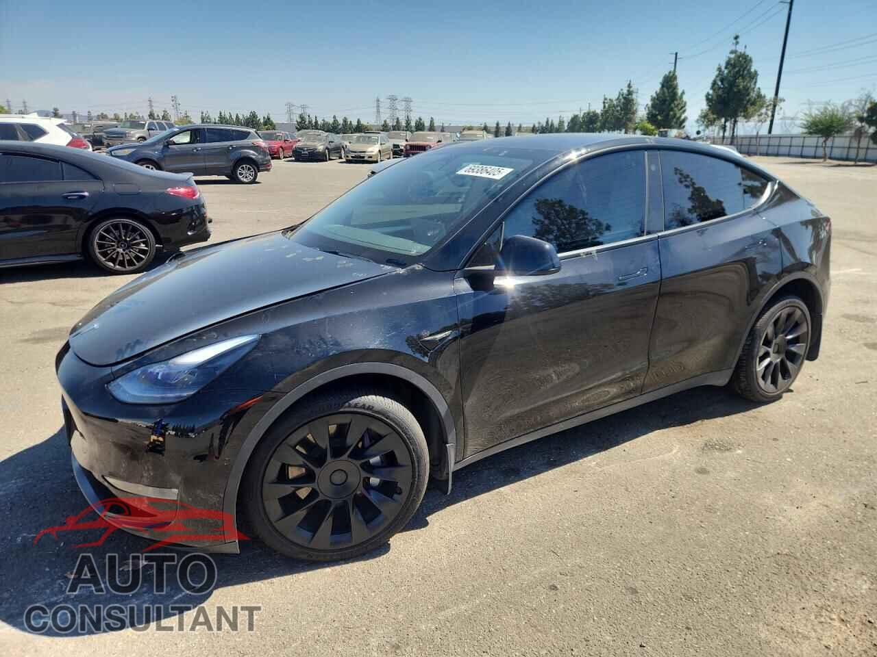TESLA MODEL Y 2022 - 7SAYGAEE4NF559698