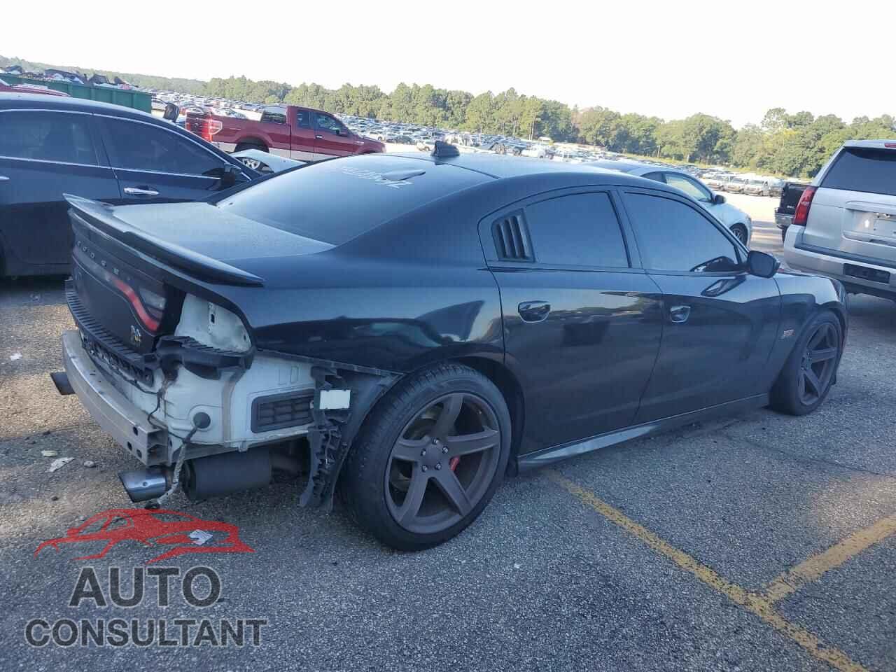 DODGE CHARGER 2019 - 2C3CDXGJ2KH519210