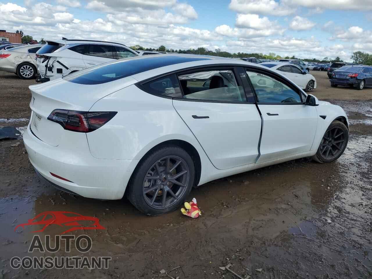 TESLA MODEL 3 2021 - 5YJ3E1EA5MF045951