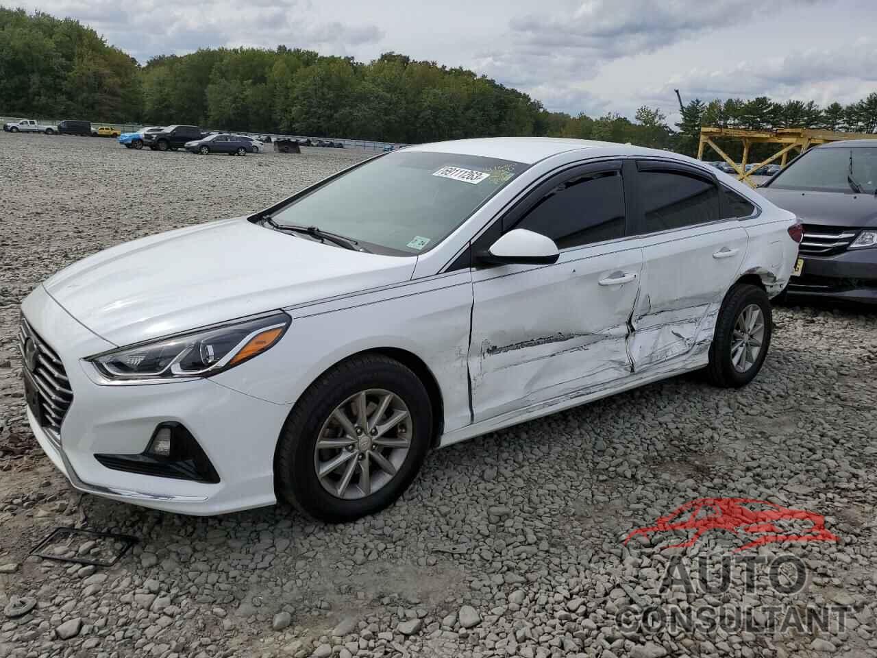 HYUNDAI SONATA 2019 - 5NPE24AF7KH740046