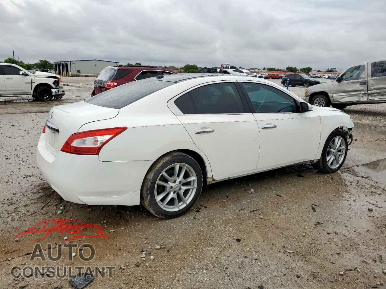 NISSAN MAXIMA 2011 - 1N4AA5AP8BC819453