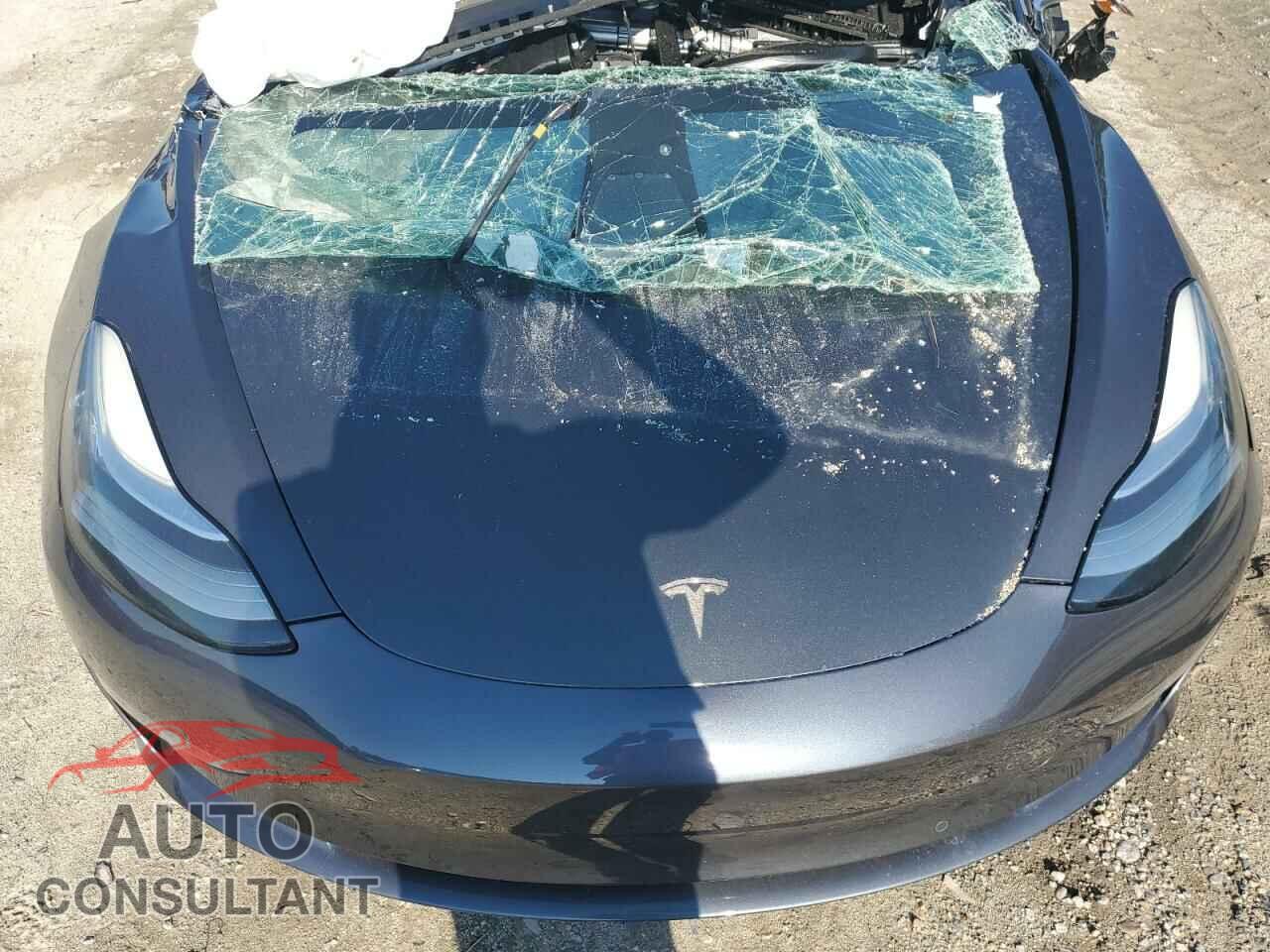 TESLA MODEL 3 2018 - 5YJ3E1EA7JF022022