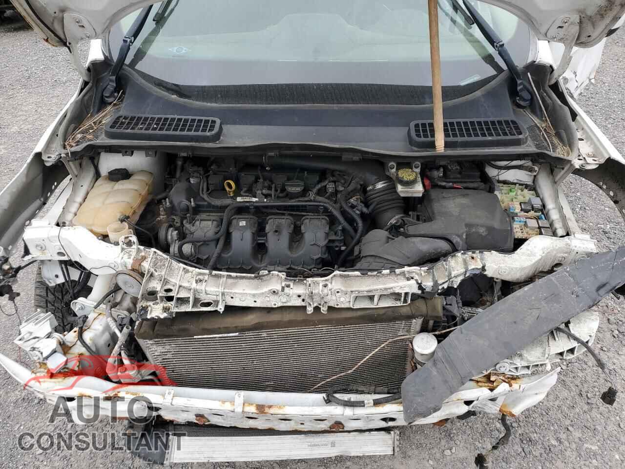 FORD ESCAPE 2014 - 1FMCU0G96EUC61831