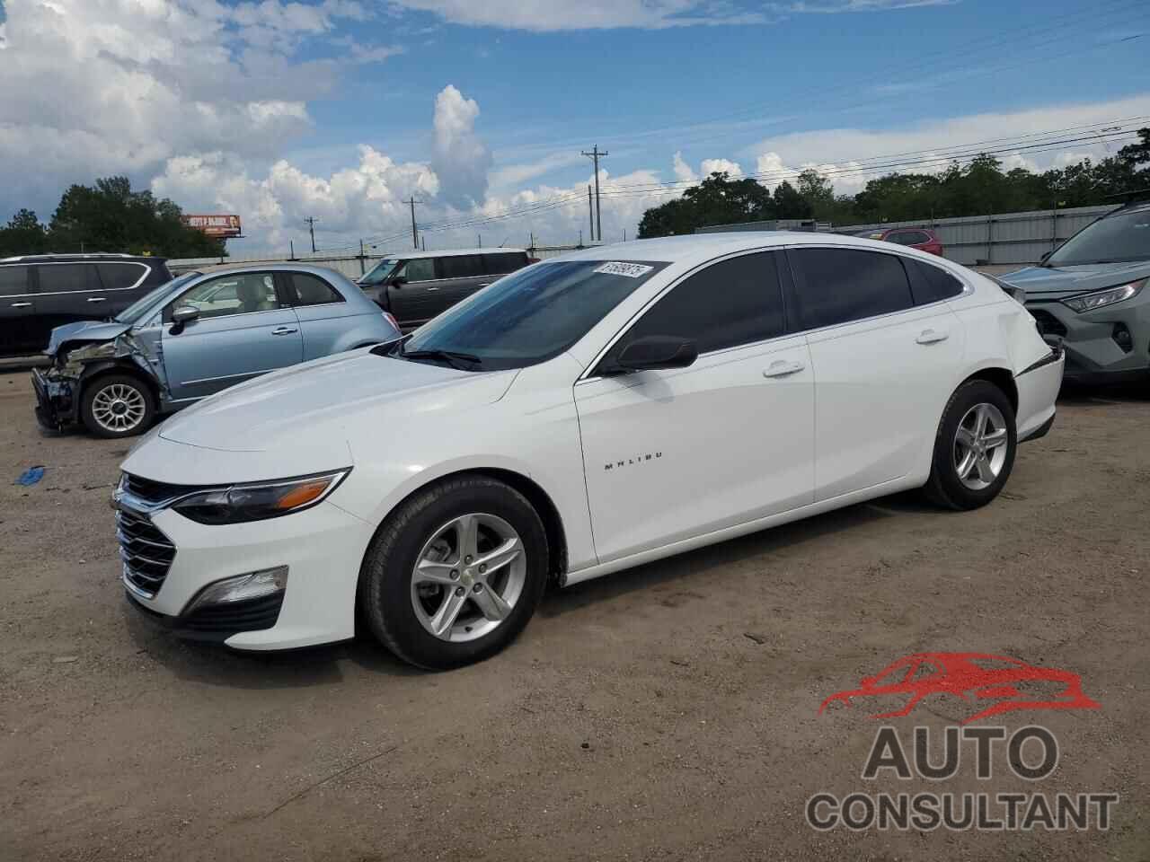 CHEVROLET MALIBU 2019 - 1G1ZB5ST7KF121851