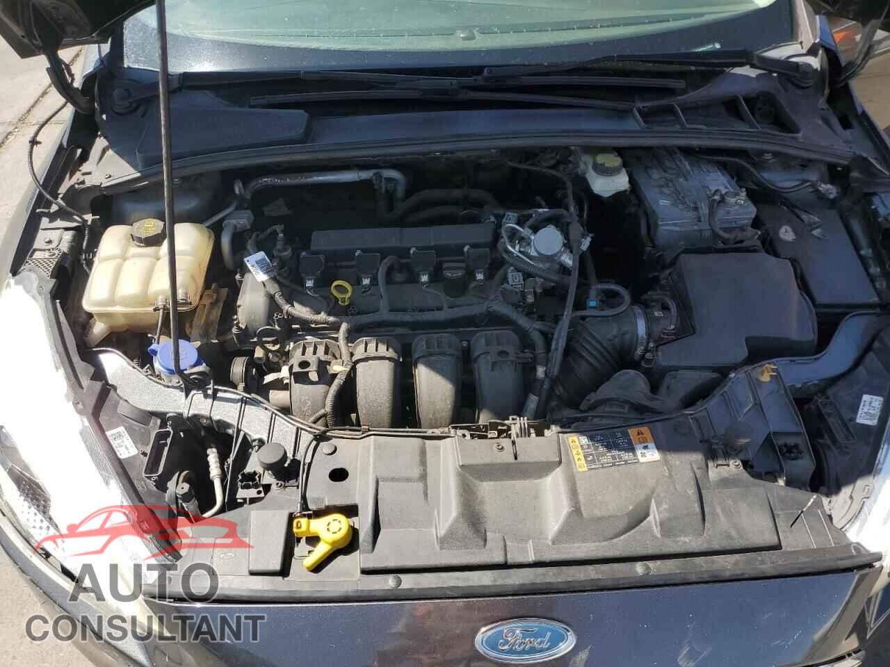 FORD FOCUS 2017 - 1FADP3F29HL271923