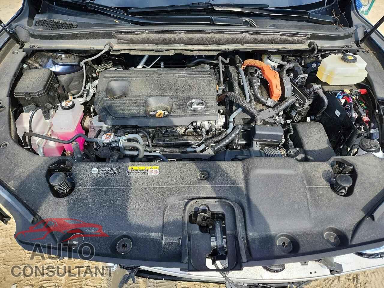 LEXUS UNKNOWN 2025 - 2T2BBMCA0SC072500
