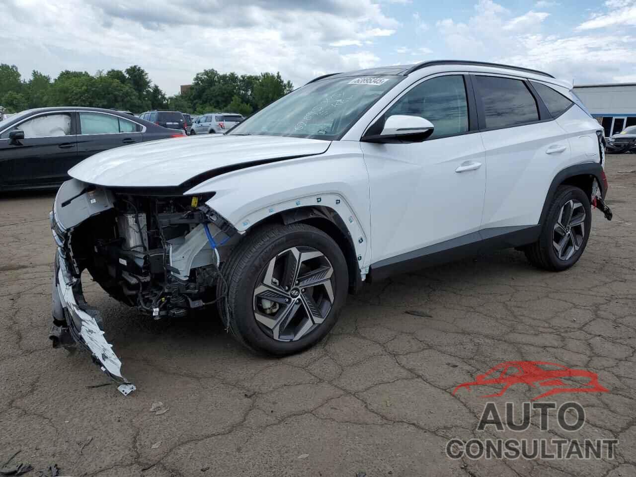 HYUNDAI TUCSON 2024 - KM8JCCD14RU142806