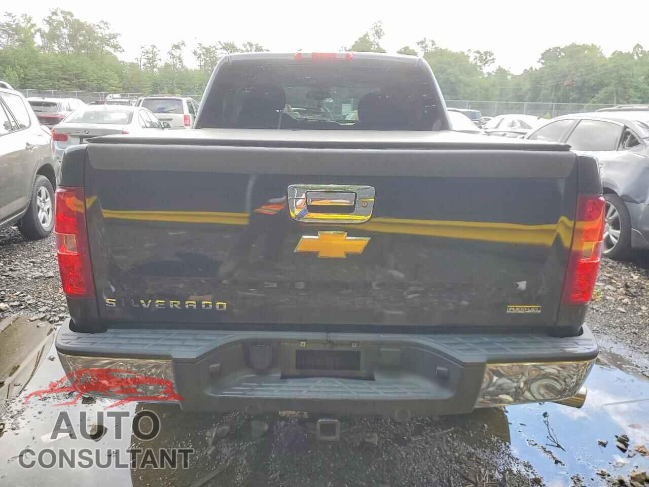 CHEVROLET SILVERADO 2009 - 2GCEK233391105554