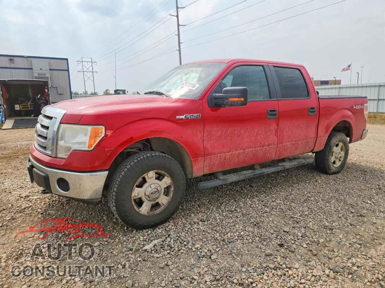 FORD F150 2010 - 1FTFW1EV7AFA06055