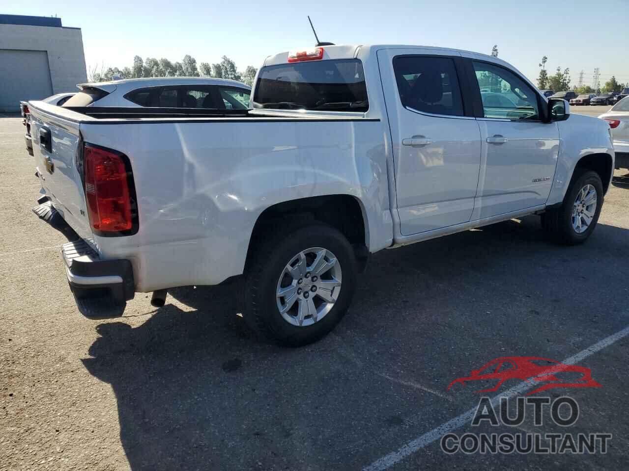 CHEVROLET COLORADO 2019 - 1GCGSCEN8K1141331