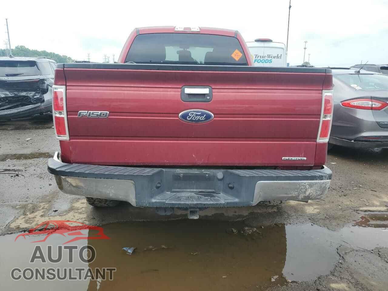 FORD F-150 2013 - 1FTFX1CF2DFD89559
