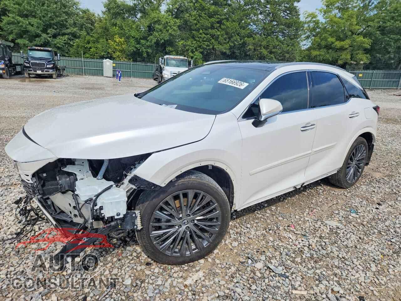 LEXUS UNKNOWN 2023 - 2T2BBMCA2PC016260