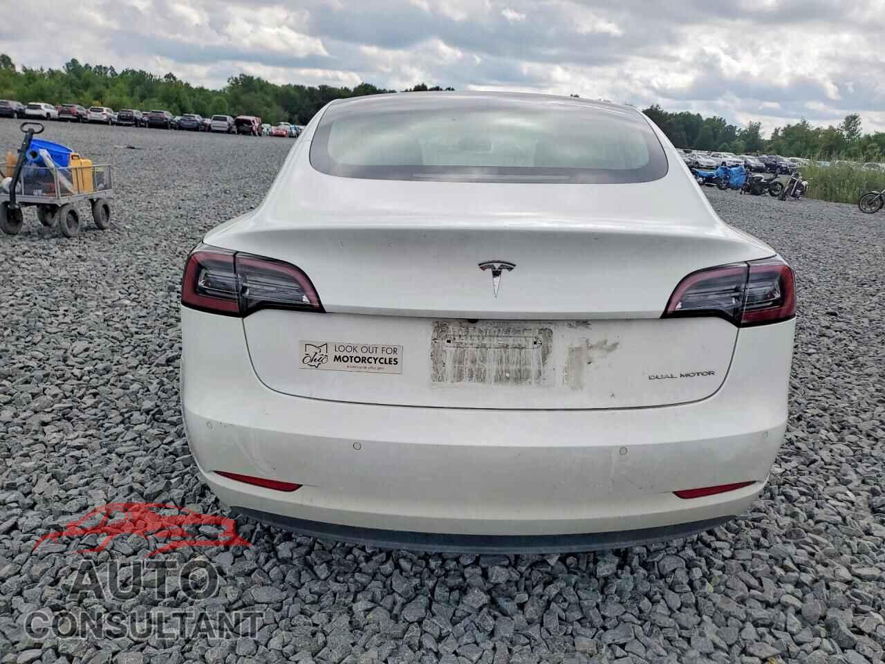 TESLA MODEL 3 2019 - 5YJ3E1EB3KF511527