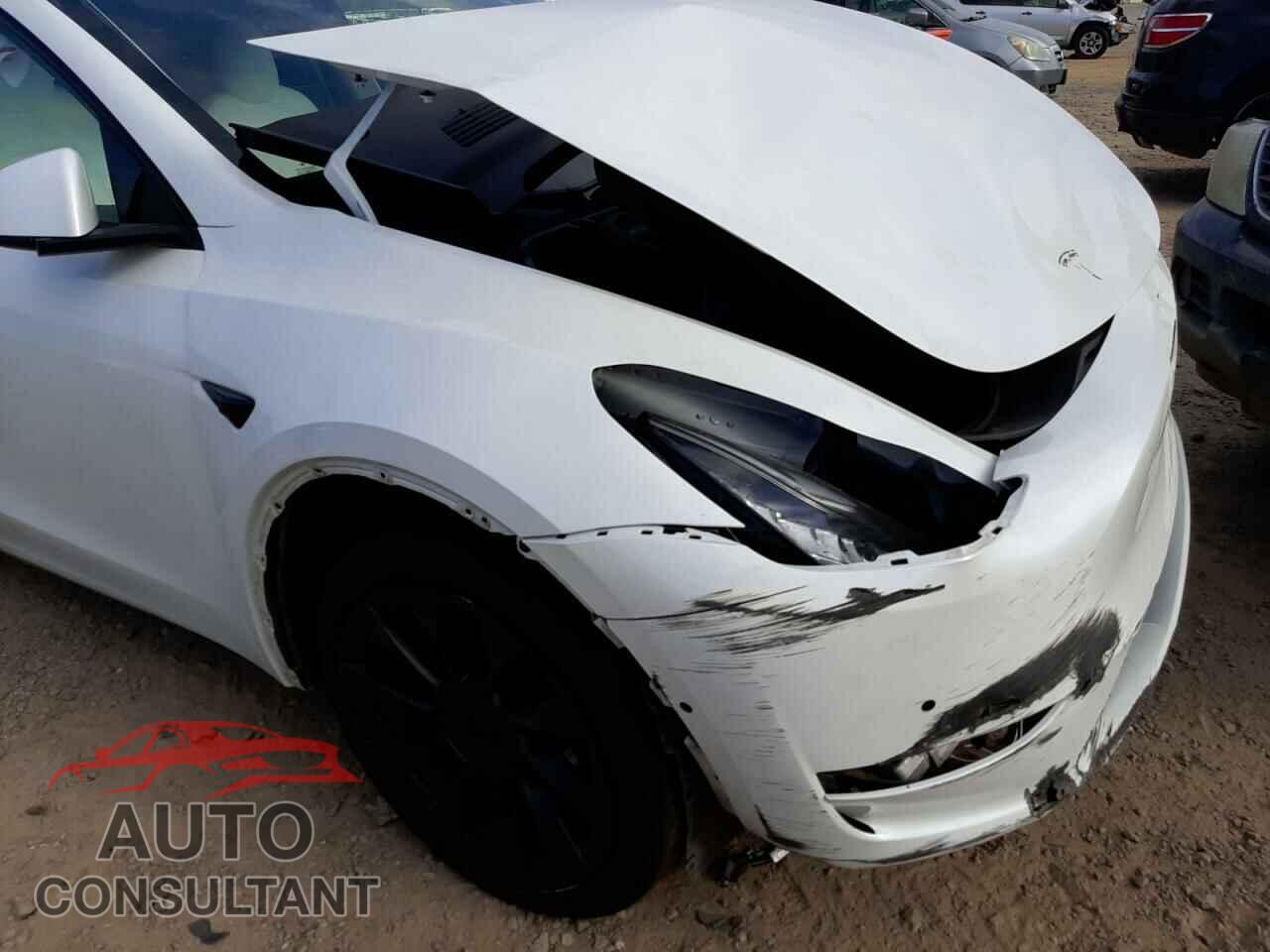 TESLA MODEL Y 2020 - 5YJYGDEEXLF024371