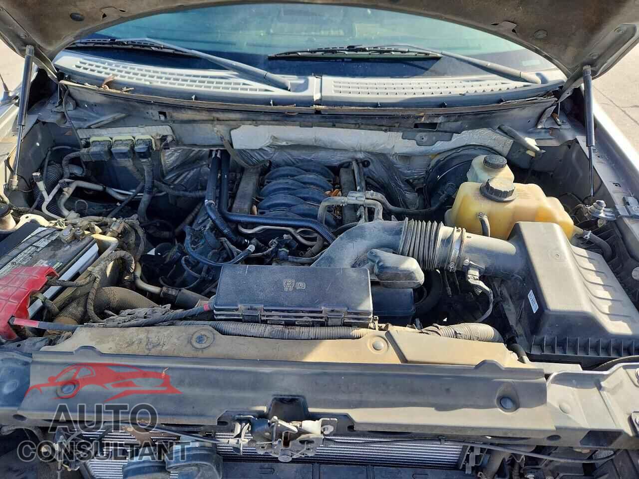 FORD F150 2013 - 1FTFW1CF6DFD76073
