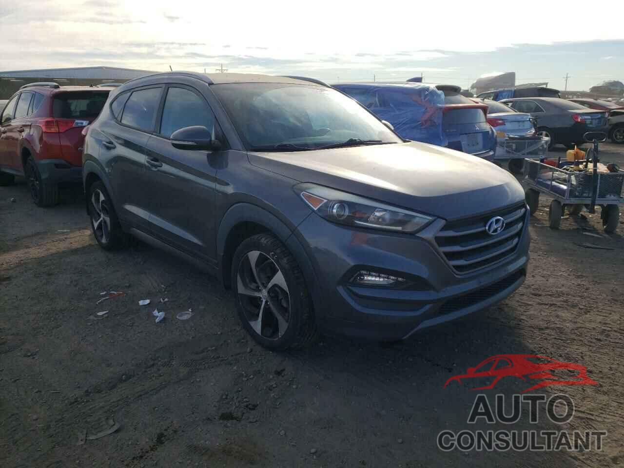 HYUNDAI TUCSON 2016 - KM8J33A22GU204570