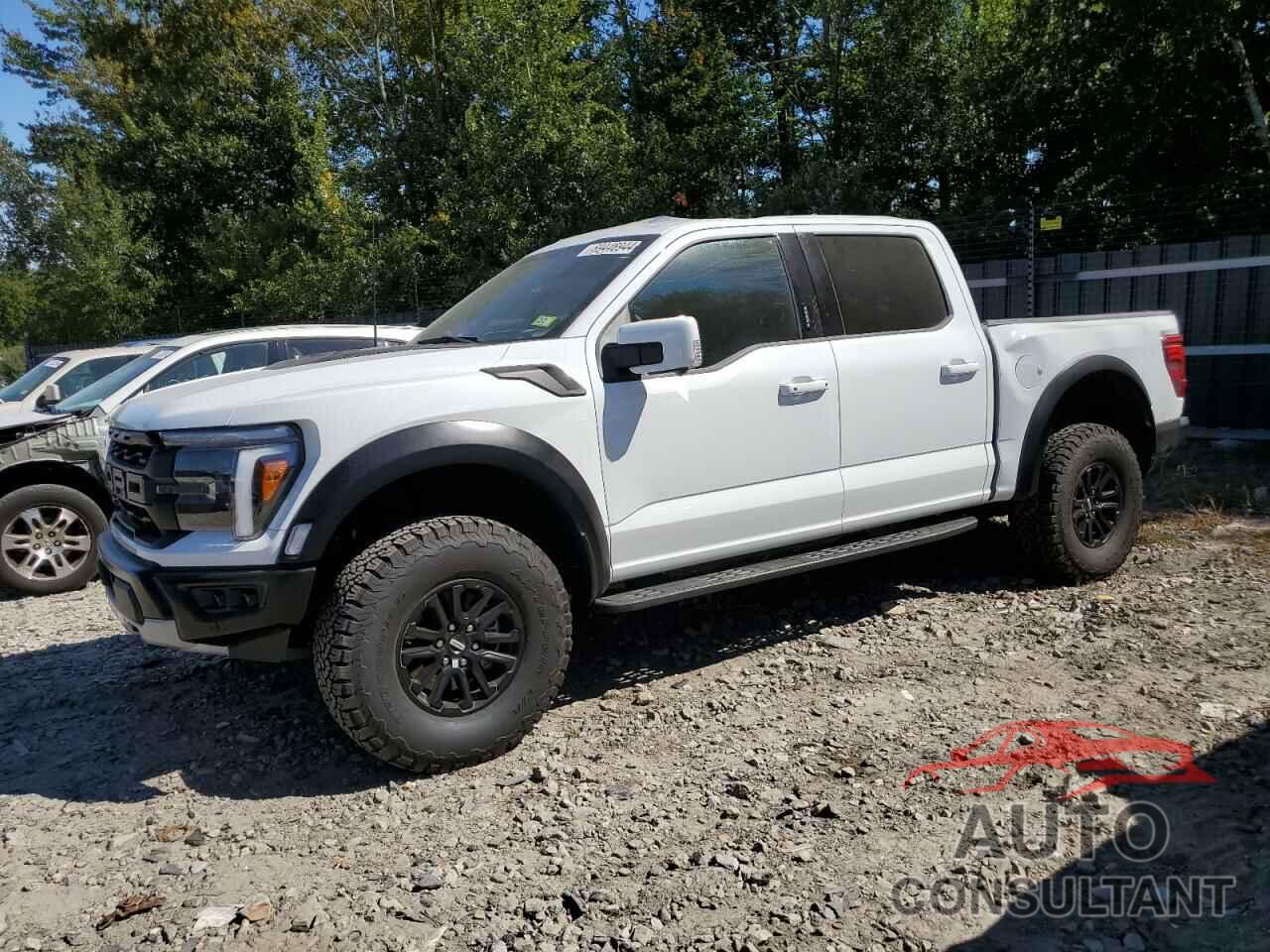 FORD F150 2024 - 1FTFW1RG3RFA54398