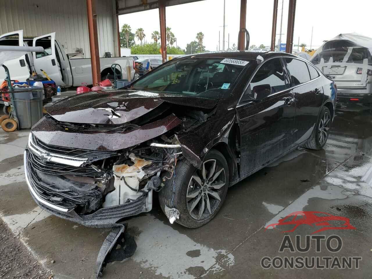CHEVROLET MALIBU 2020 - 1G1ZG5ST4LF082204