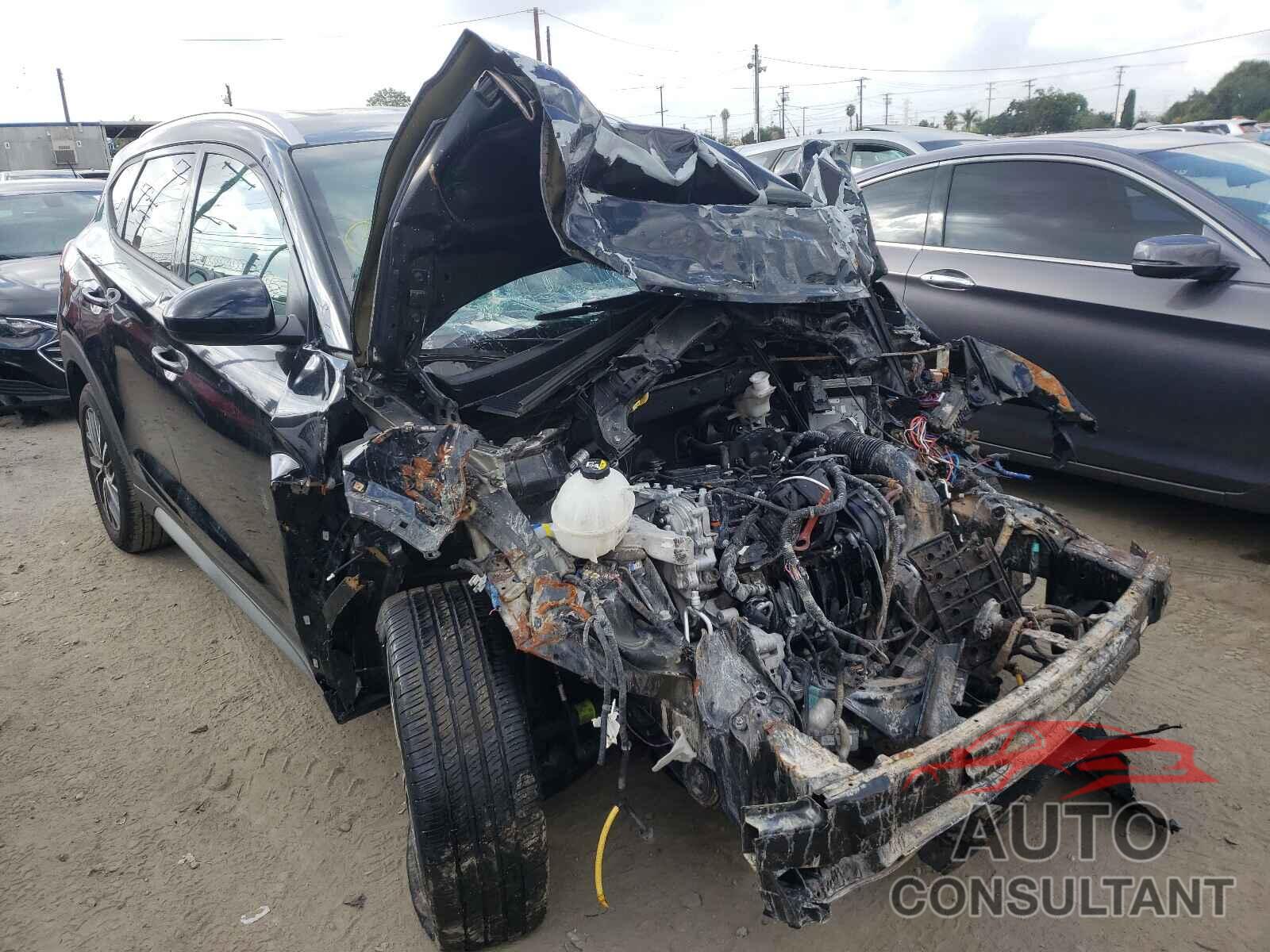 HYUNDAI TUCSON 2019 - KM8J33AL5KU895630