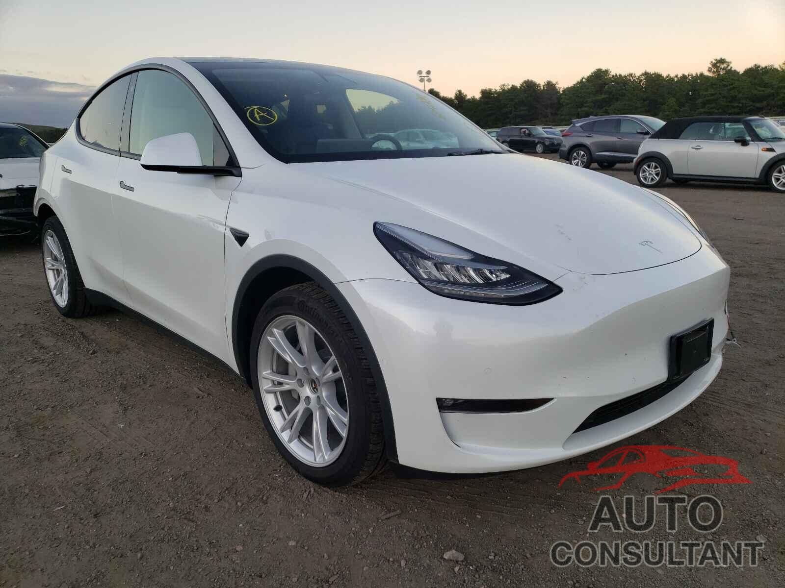 TESLA MODEL Y 2021 - 5YJYGAEE6MF146290