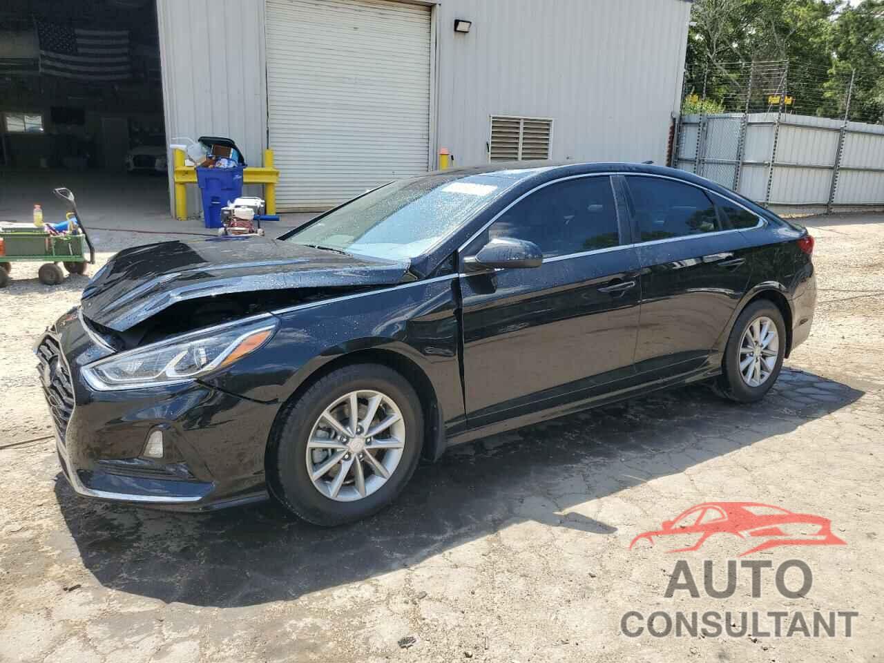 HYUNDAI SONATA 2019 - 5NPE24AF5KH801720