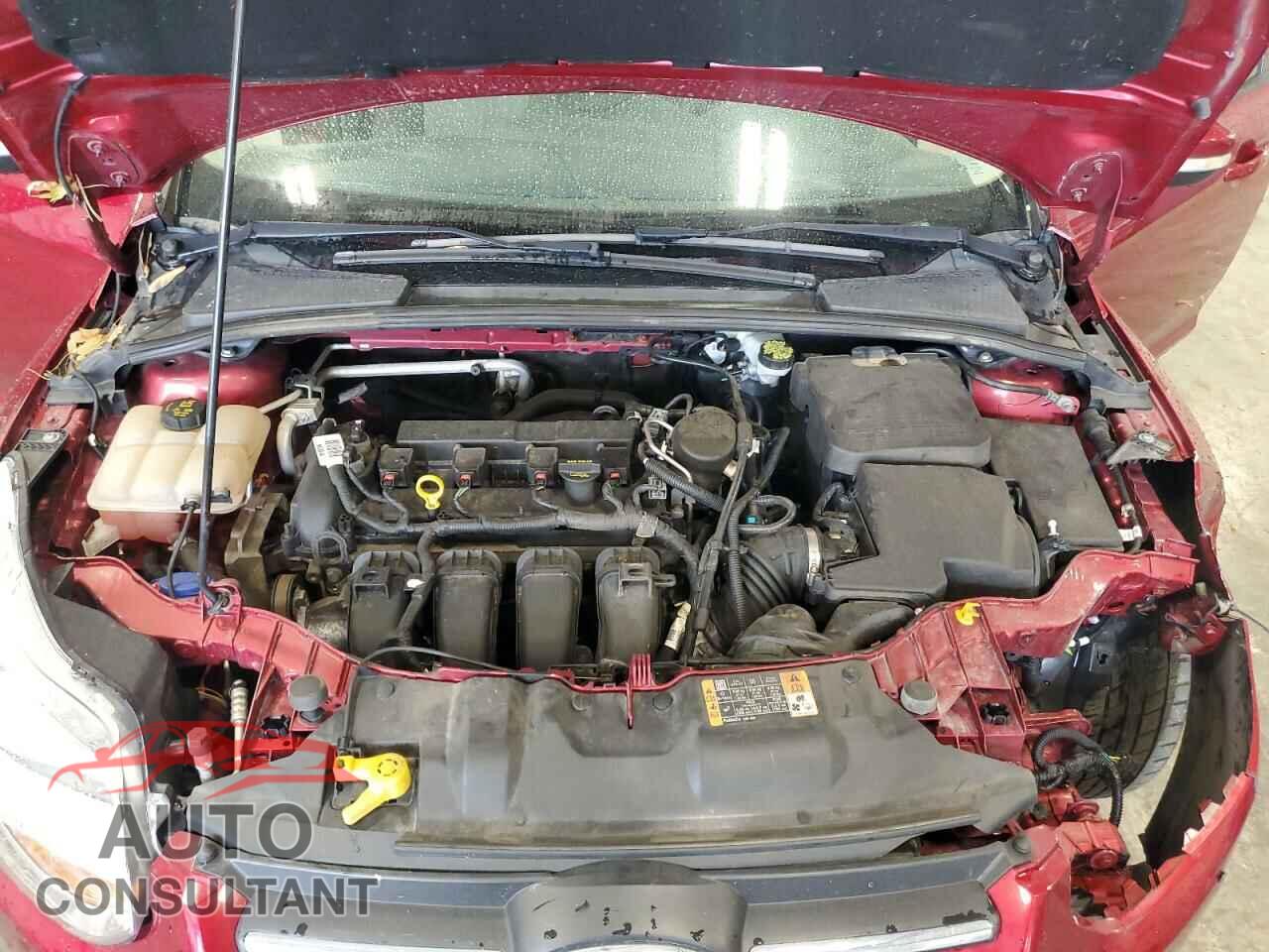 FORD FOCUS 2014 - 1FADP3F29EL346650