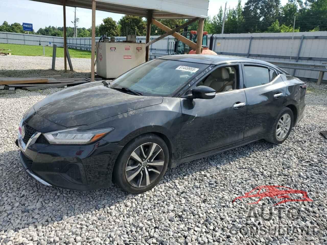 NISSAN MAXIMA 2019 - 1N4AA6AV4KC370230