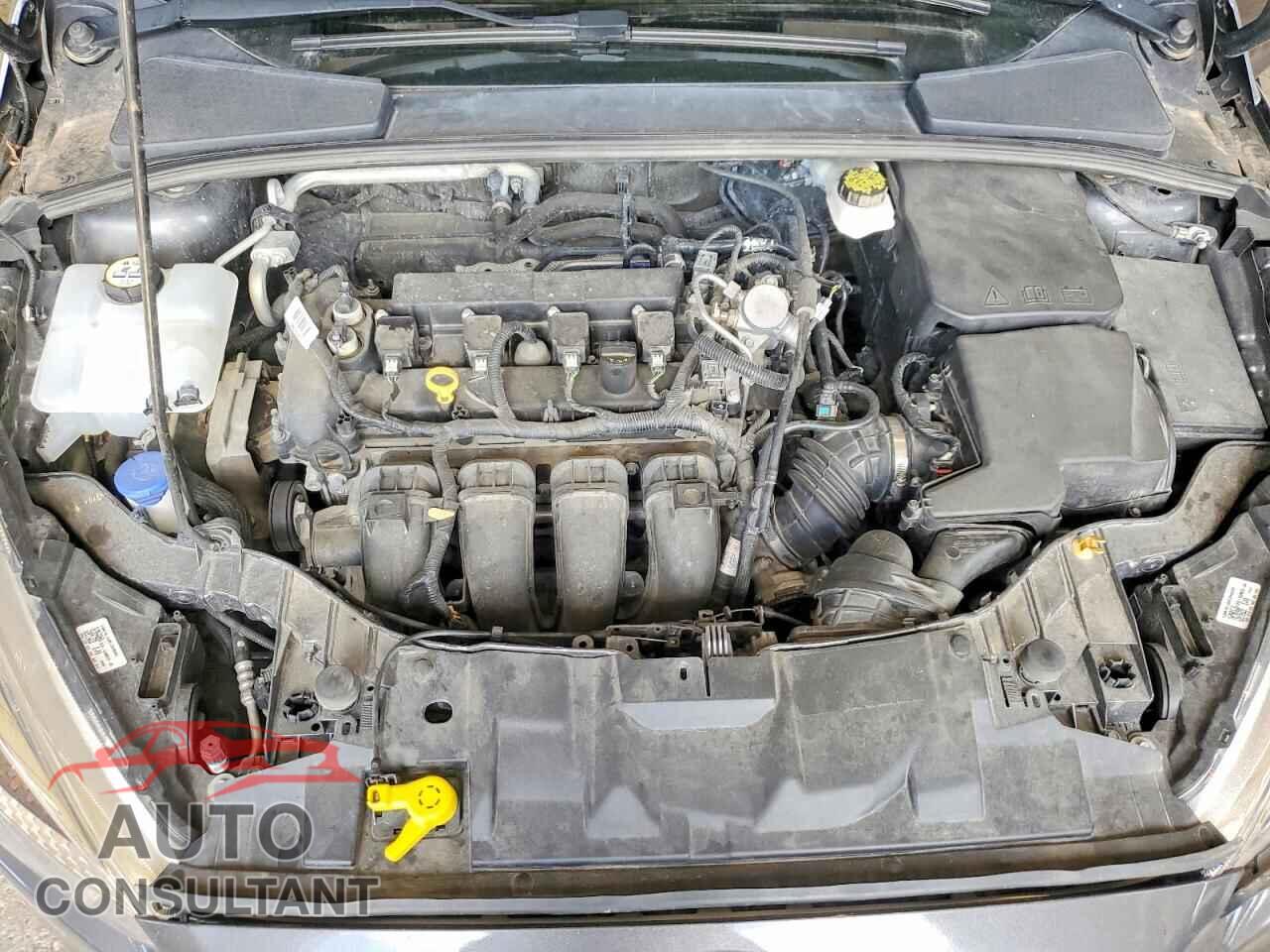 FORD FOCUS 2017 - 1FADP3F21HL318975