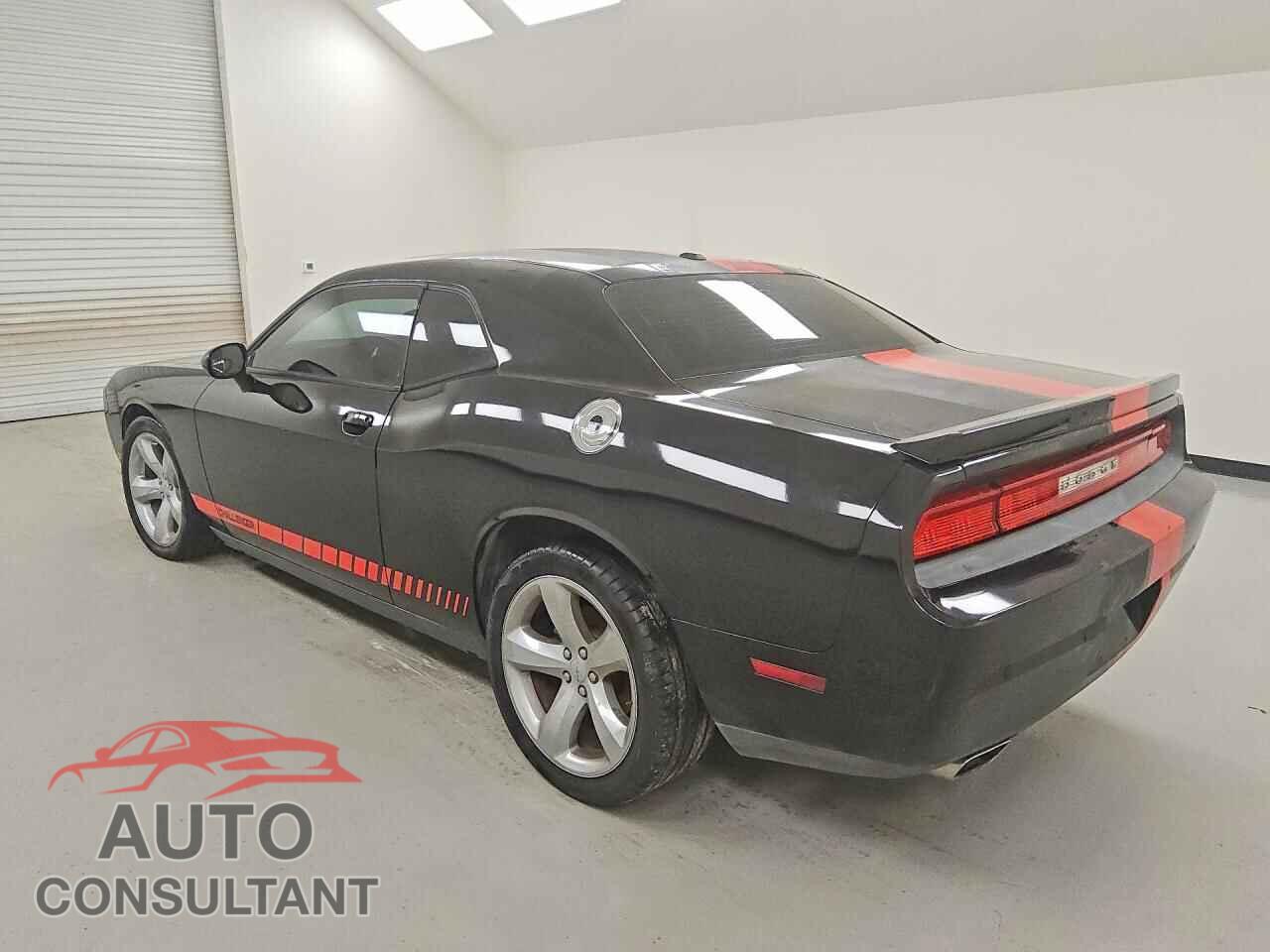 DODGE CHALLENGER 2013 - 2C3CDYBT0DH534242