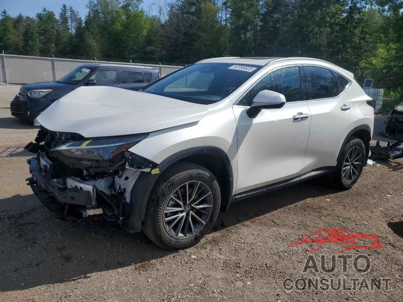 LEXUS NX 450H LU 2024 - JTJHKCFZ8R2038451