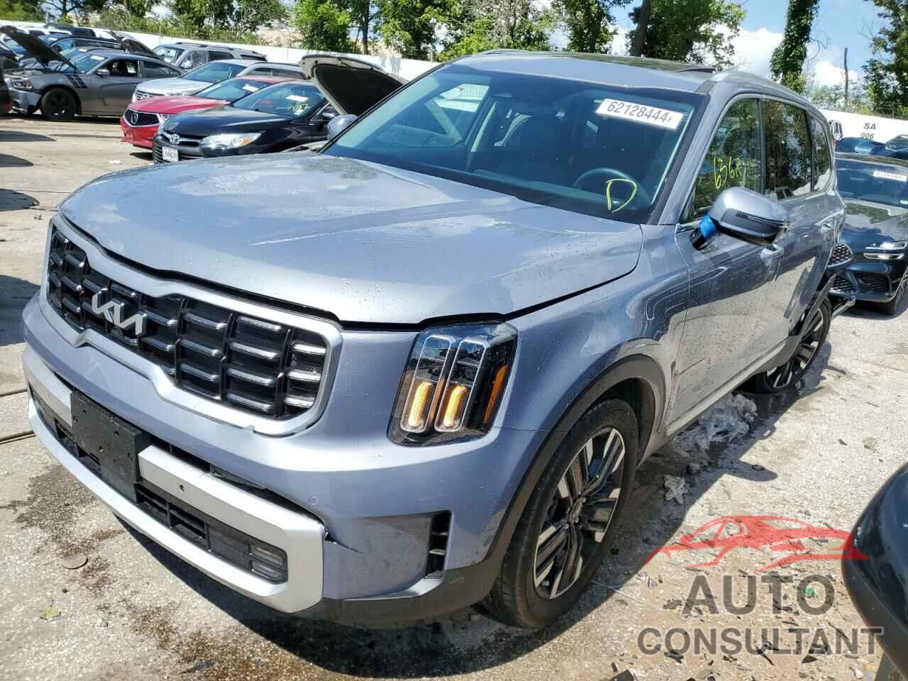 KIA TELLURIDE 2024 - 5XYP5DGC2RG486177