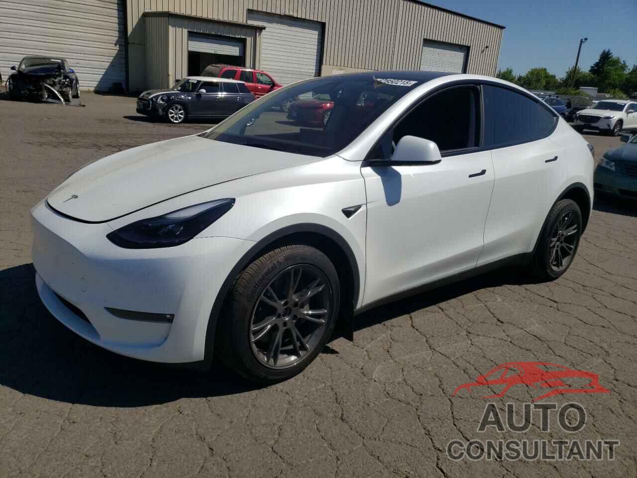 TESLA MODEL Y 2025 - 7SAYGDEE1SF286586