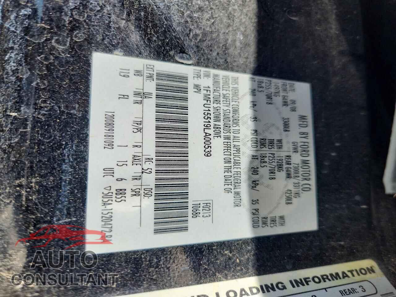 FORD EXPEDITION 2009 - 1FMFU15519LA00539