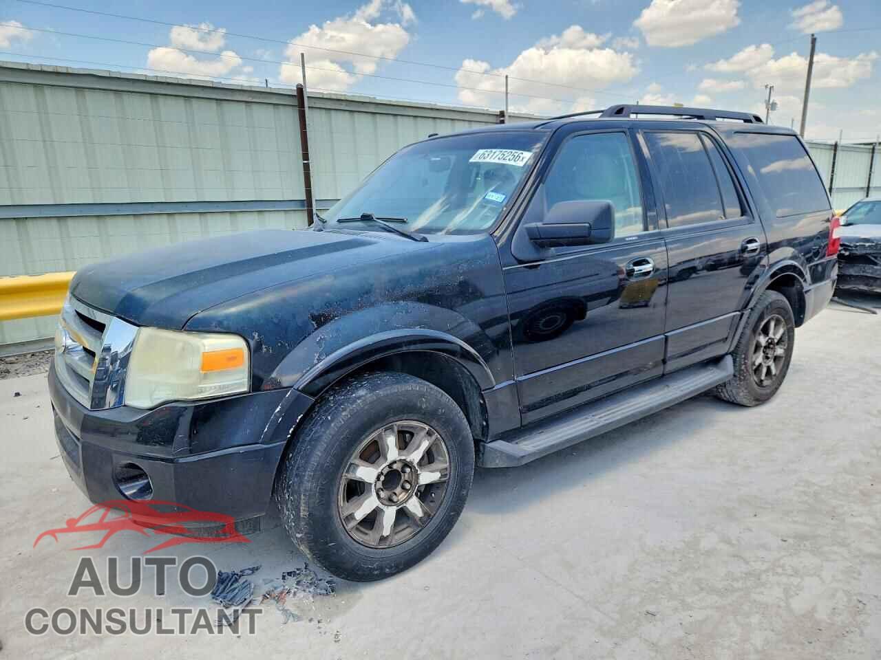 FORD EXPEDITION 2009 - 1FMFU15519LA00539