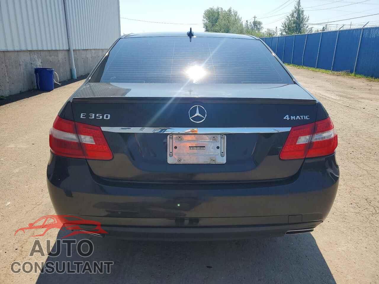 MERCEDES-BENZ E-CLASS 2010 - WDDHF8HB8AA138764