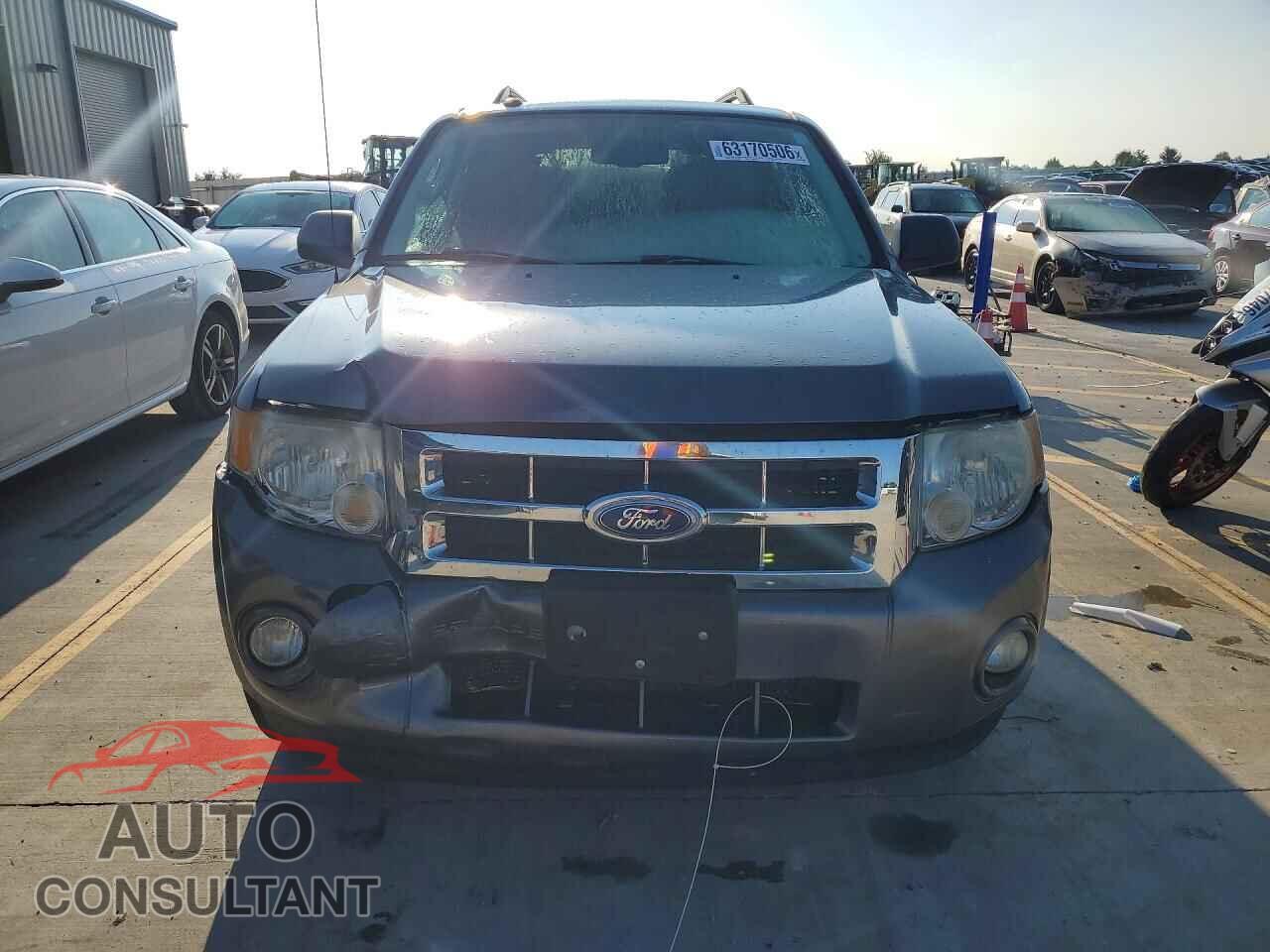 FORD ESCAPE 2010 - 1FMCU0D77AKD09491