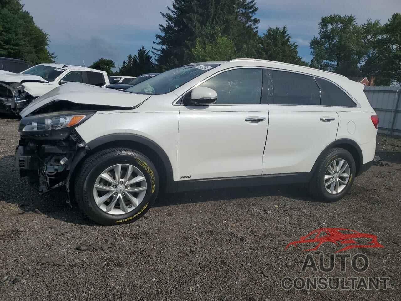 KIA SORENTO 2017 - 5XYPGDA35HG237079