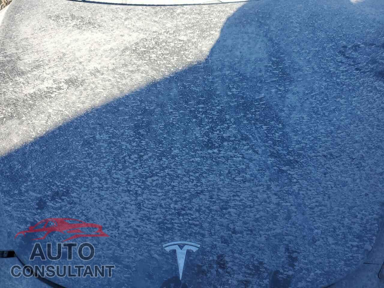 TESLA MODEL 3 2020 - 5YJ3E1EA7LF741189