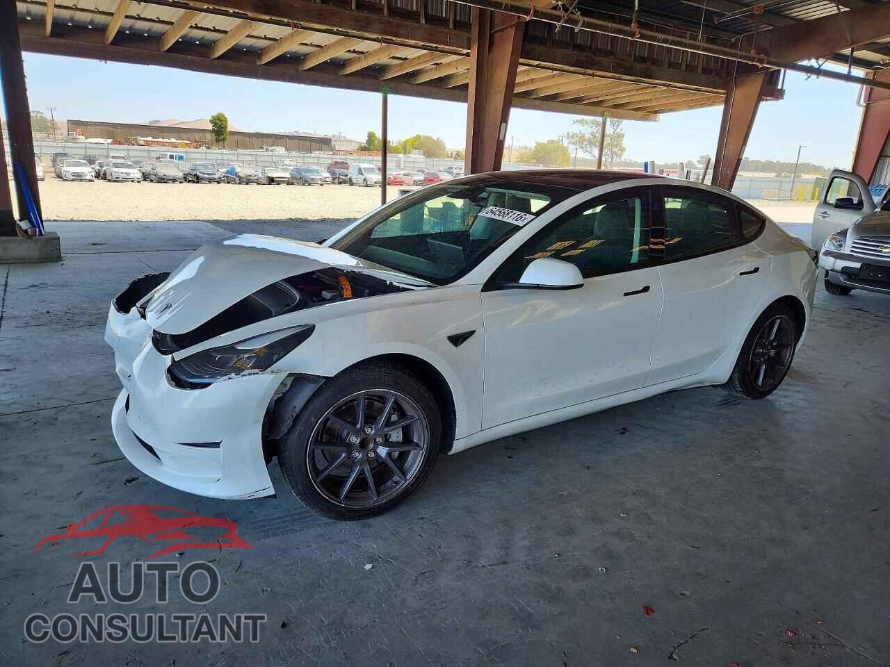 TESLA MODEL 3 2021 - 5YJ3E1EA7MF942821