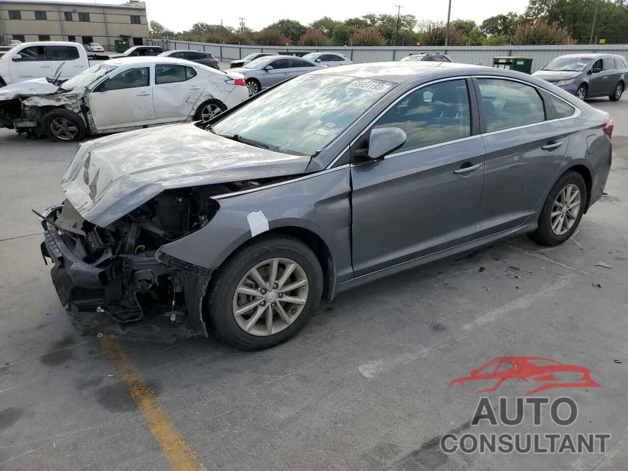 HYUNDAI SONATA 2019 - 5NPE24AF2KH812352
