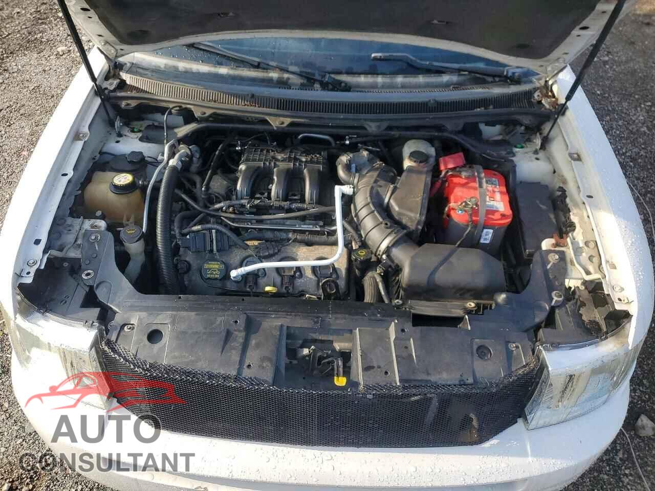 FORD FLEX 2009 - 2FMDK52C09BA00572