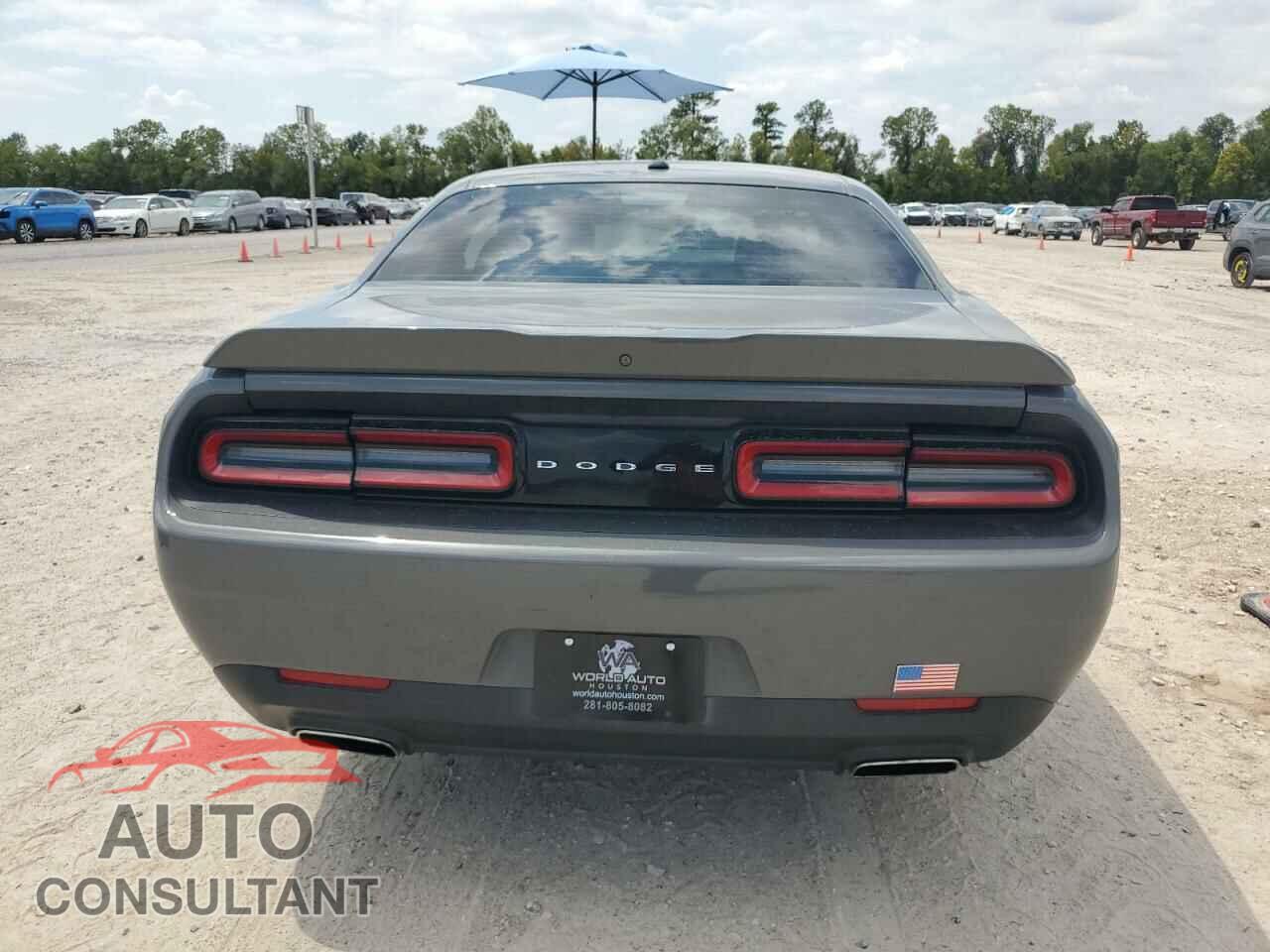 DODGE CHALLENGER 2019 - 2C3CDZAG3KH668671