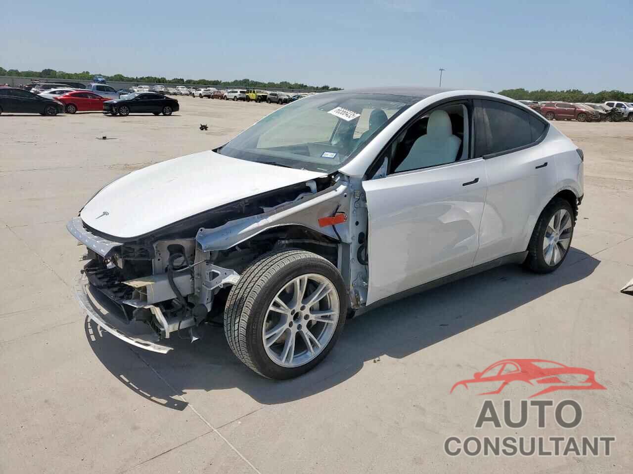 TESLA MODEL Y 2024 - 7SAYGDED1RF085594