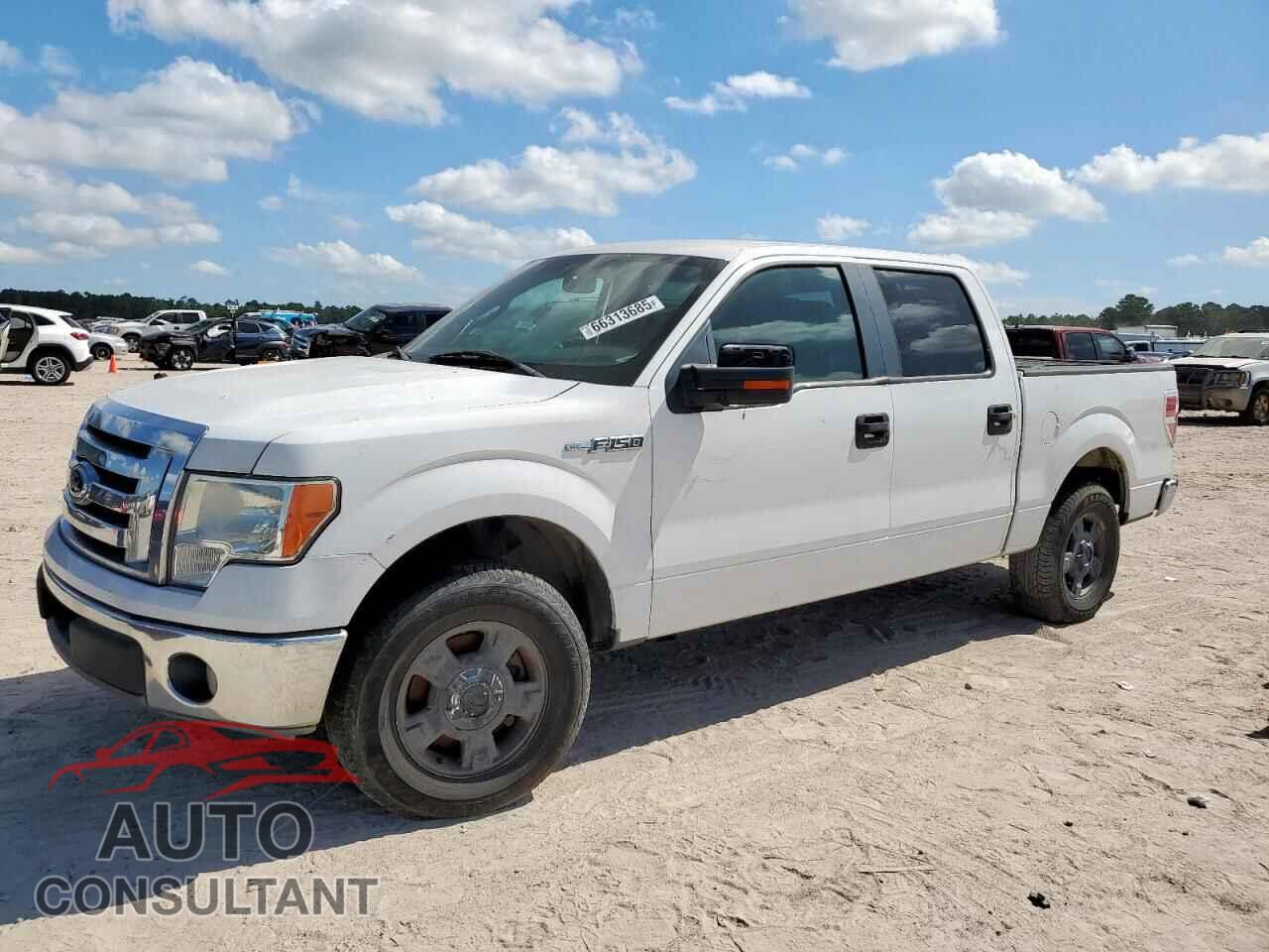 FORD F-150 2012 - 1FTFW1CF8CFB27675