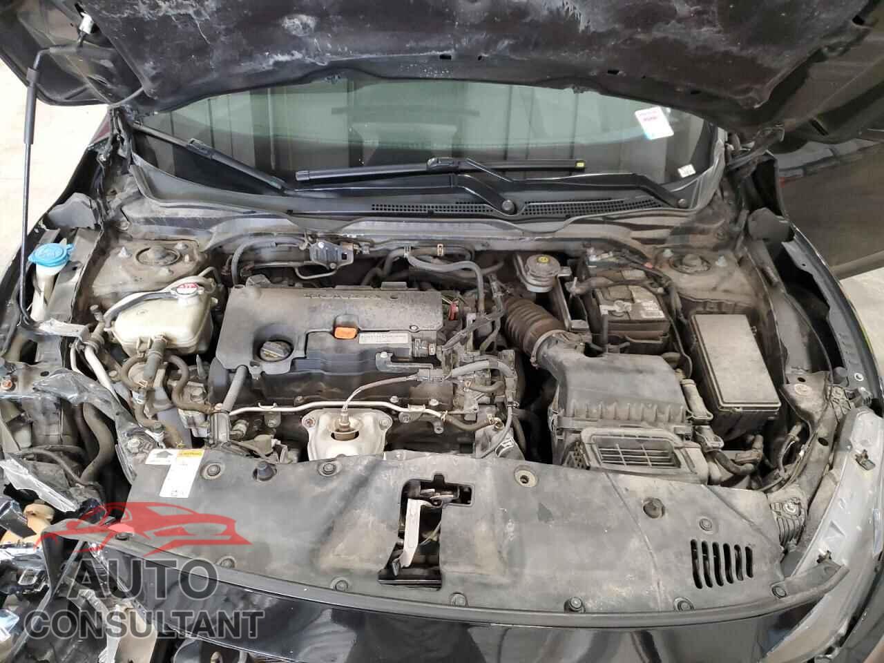 HONDA CIVIC 2019 - 2HGFC2F8XKH509703