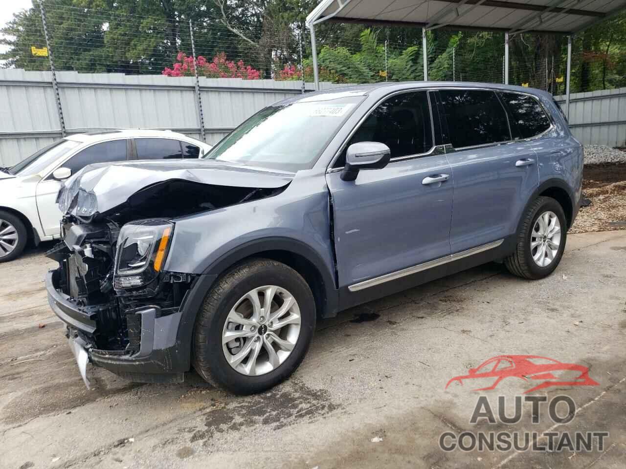 KIA TELLURIDE 2022 - 5XYP2DHCXNG309555