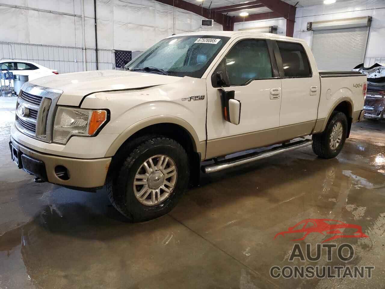 FORD F-150 2010 - 1FTFW1EV0AFB83465