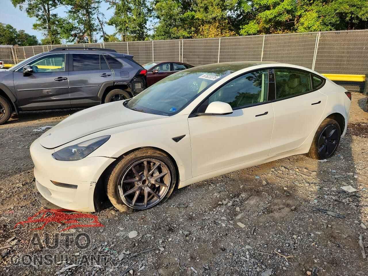 TESLA MODEL 3 2021 - 5YJ3E1EA1MF087940