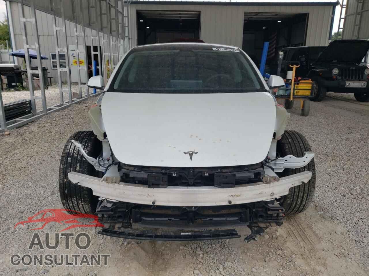TESLA MODEL 3 2025 - 5YJ3E1EA4SF904539
