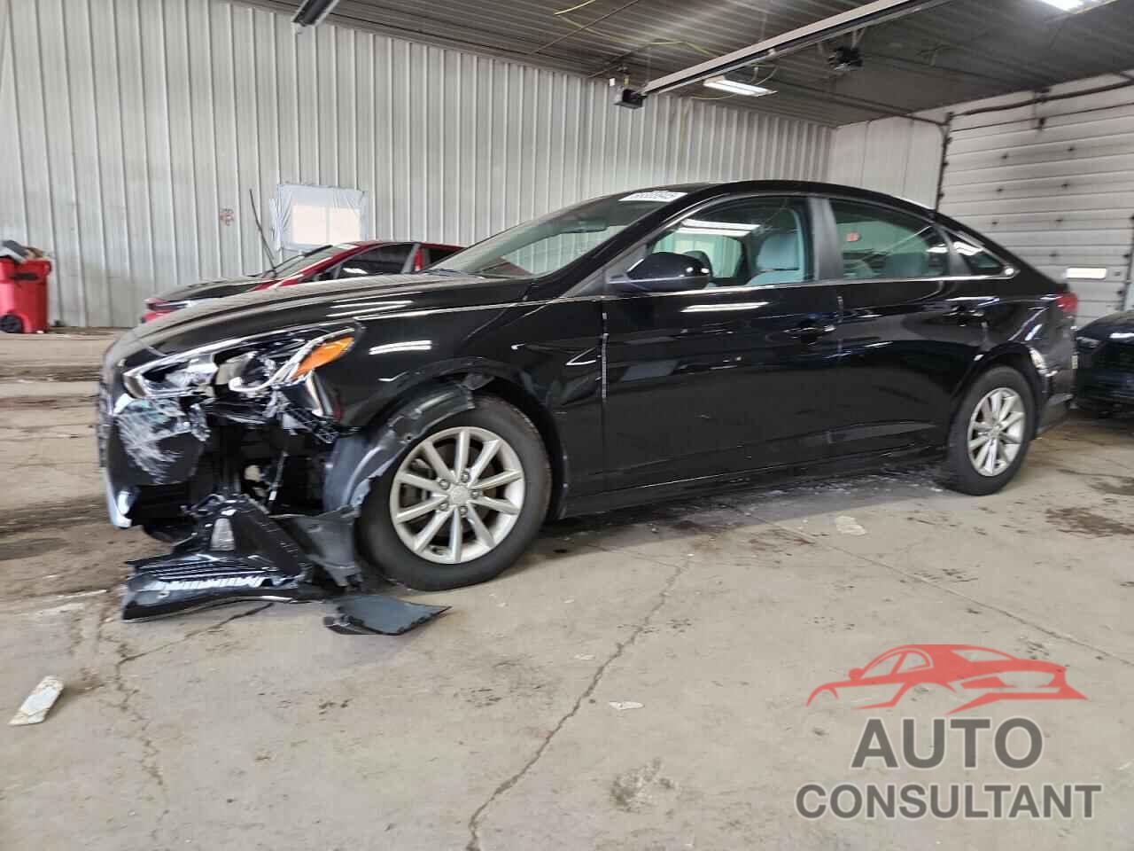 HYUNDAI SONATA 2019 - 5NPE24AF8KH776862